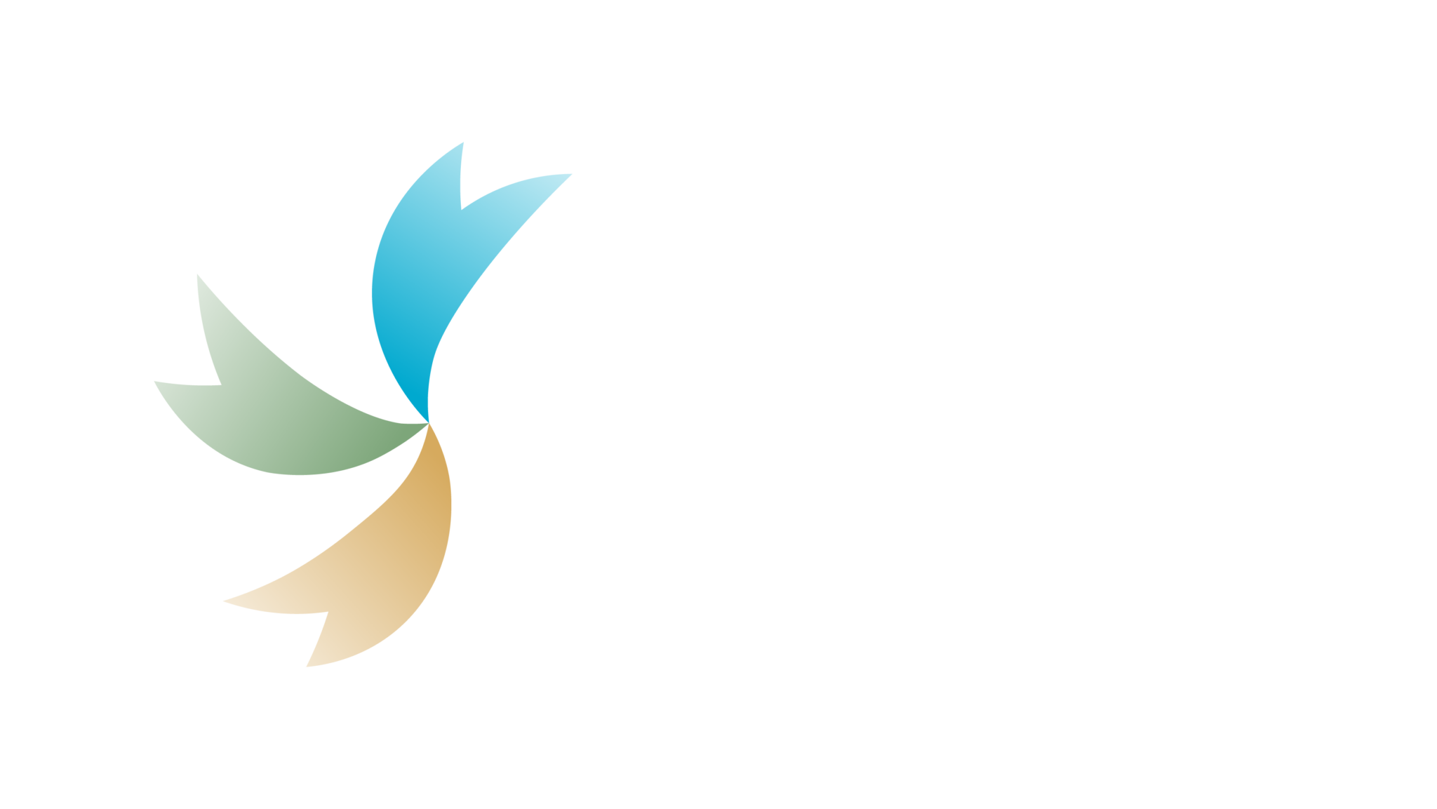 Greater Summerville / Dorchester County Chamber Foundation